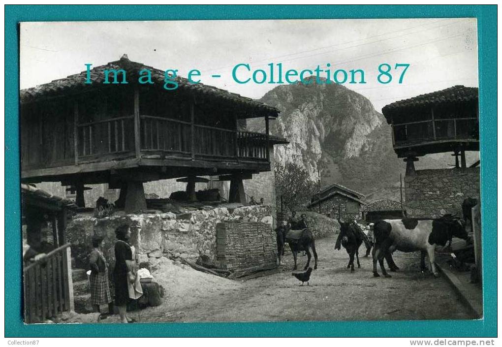 ESPAGNE - ASTURIAS - OVIEDO - RINCON ASTURIANO - ANE Et BOEUF - REAL PHOTO POSTCARD - Asturias (Oviedo)