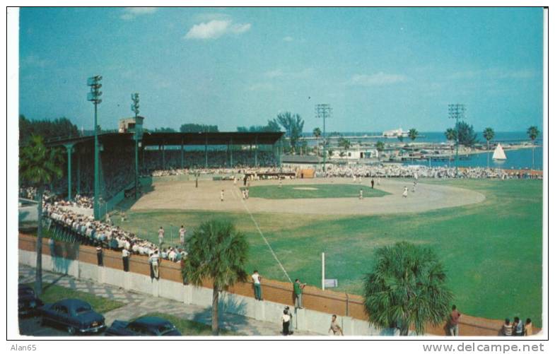 Al Lang Field In St. Petersburg FL Spring Training Baseball Stadium For Boston Braves, NY Yankees On Chrome Postcard - Baseball