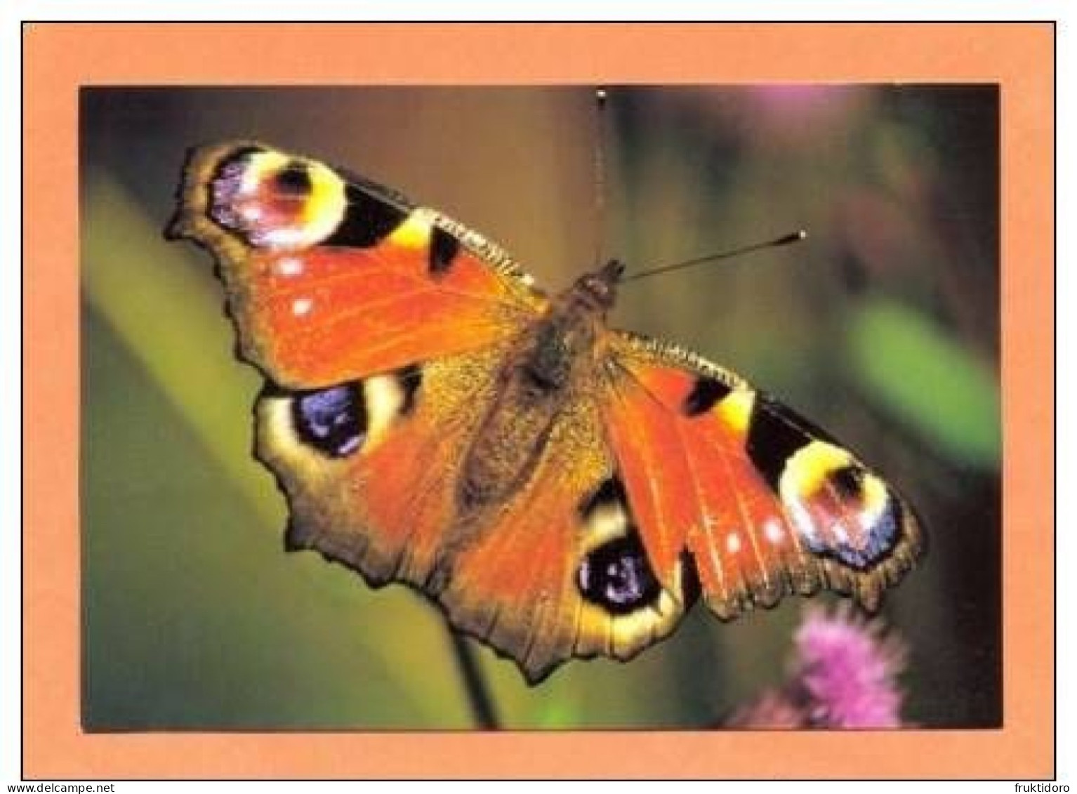 AK Postcards Peacock Butterfly - Queen Of Spain - Two-tailed Tiger Swallowtail - Papillons