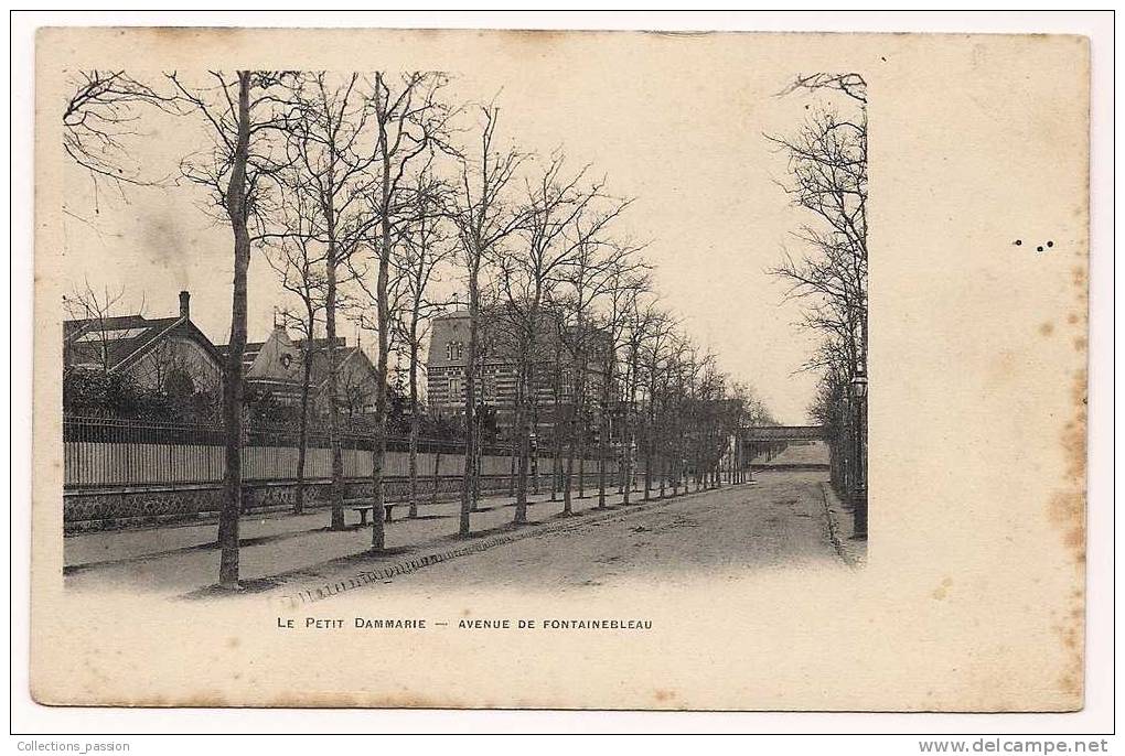 Cpa , 77 , LE PETIT DAMMARIE , Avenue De Fontainebleau , Cp Tachée - Dammarie Les Lys