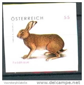 AUSTRIA ÖSTERREICH 2008 FELDHASE HARE SELBSTKLEBEND ADHESIVE - Nuovi