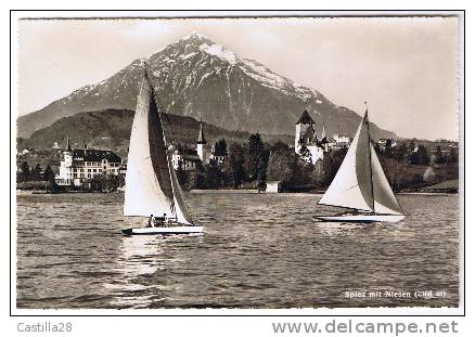 SPIEZ Mit Niesen (voiliers) - Spiez