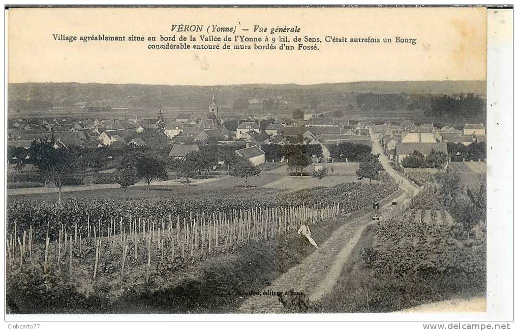 Véron  (89) : Chemin Dans Les Vignes Et Vue Générale Environ 1910(animée) - Veron