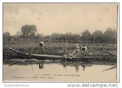 Amiens..Agriculture ..les Hortillonnages - Amiens