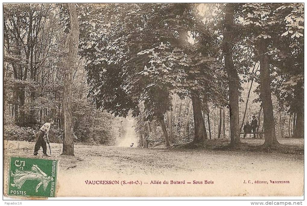 92 - Vaucresson - Allée Du Butard - Sous Bois - éd. J. C. (animée - Circulée 1909) - Vaucresson