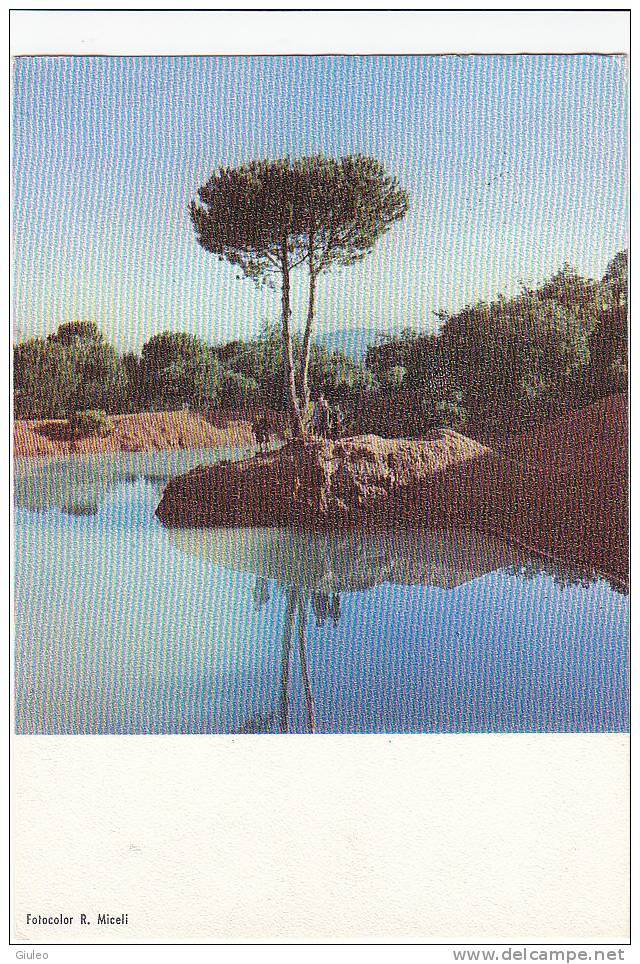 $-0070-  CEFALU´ LAGO RUSTANIA VILLA S. MICICHE´ PALERMO - F.G. VIAGGIATA - ITALY ITALIE - Altri & Non Classificati