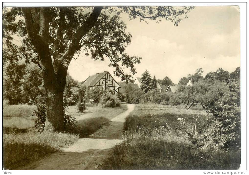 HOK - WALDHOF PAPENBERG Bei Haldensleben - Haldensleben