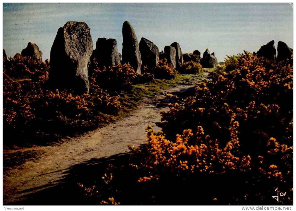 CPSM.  CARNAC. LES ALIGNEMENTS DE KERMARIO. - Dolmen & Menhire