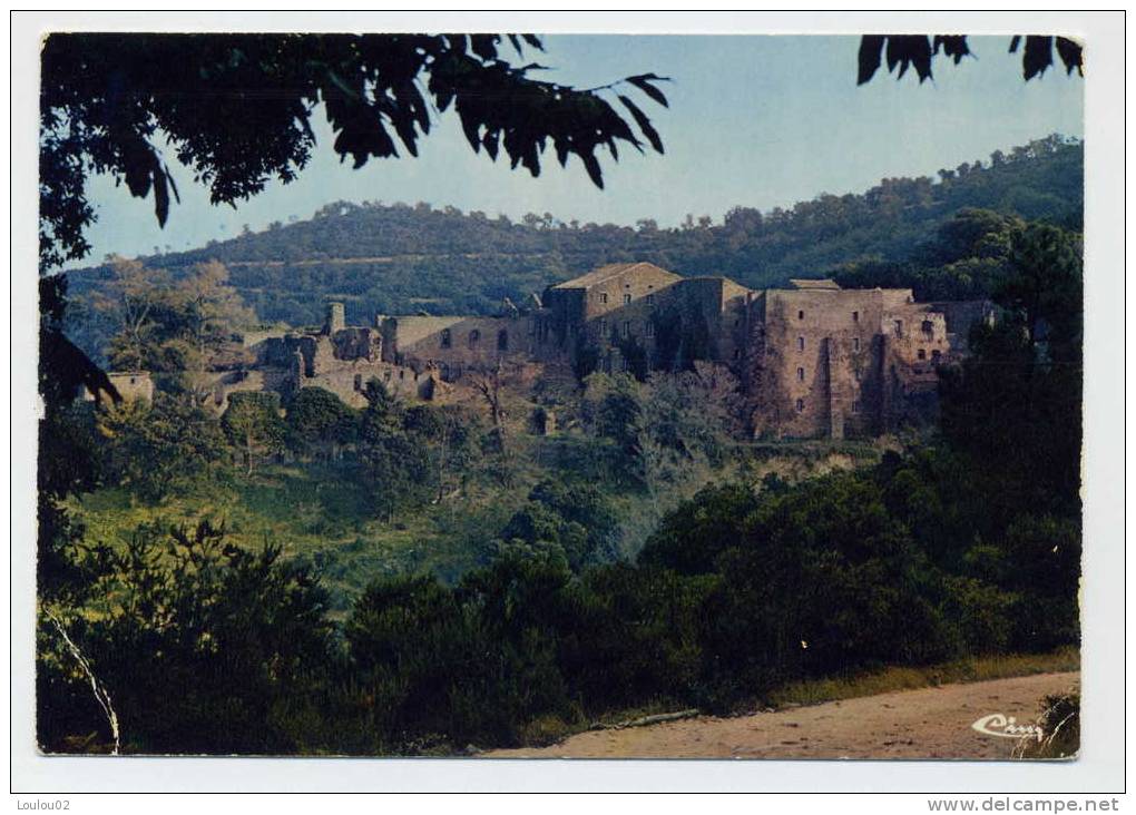 83 - COLLOBRIERES - La Chartreuse De La Verne - Collobrieres