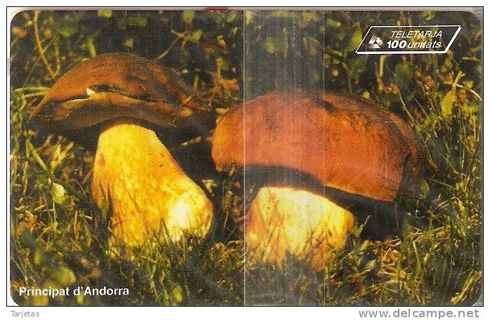 AND-061  TARJETA DE  ANDORRA DE CEPS (SETA-MUSHROM) NUEVA-MINT - Andorra