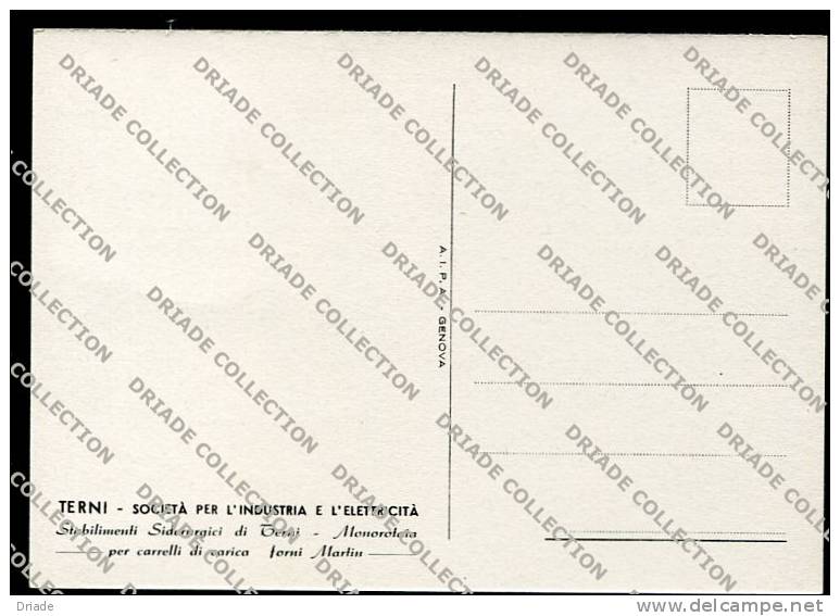CARTOLINA FORMATO GRANDE STABILIMENTO SIDERURGICO TERNI  SOCIETà INDUSTRIA E ELETTRICITA - Terni