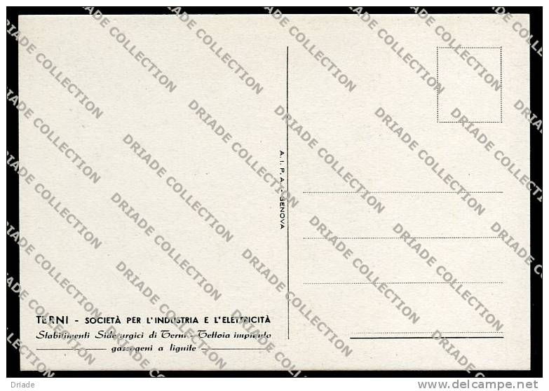CARTOLINA FORMATO GRANDE STABILIMENTO SIDERURGICO TERNI SOCIETà INDUSTRIA E ELETTRICITA - Terni