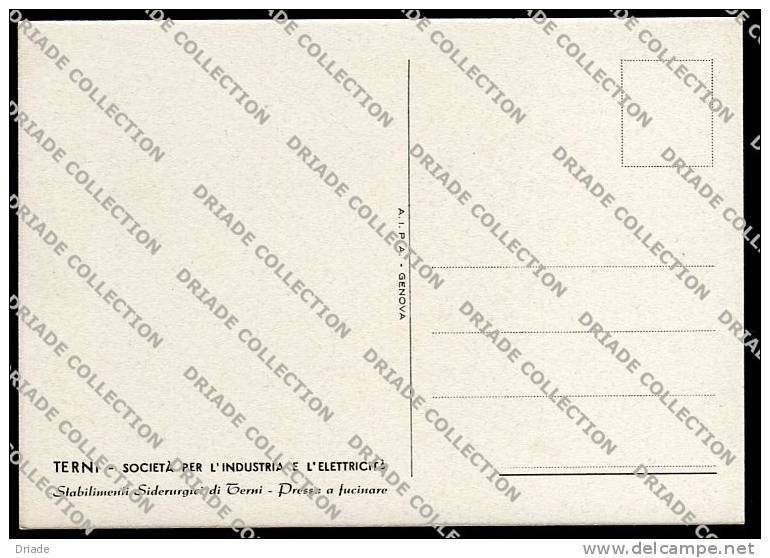 CARTOLINA FORMATO GRANDE STABILIMENTO SIDERURGICO TERNI SOCIETà INDUSTRIA E ELETTRICITA ANIMATA - Terni