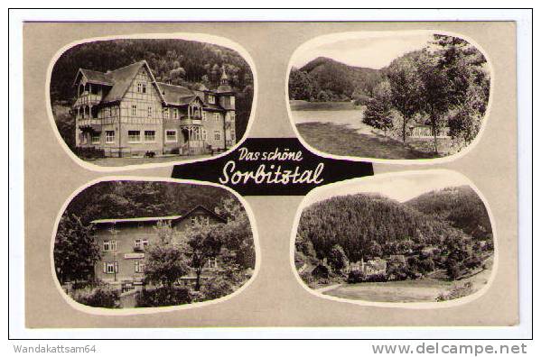 AK Sitzendorf Das Schöne Sorbitztal 22. 9.61 -- 3 6826 SITZENDORF SCHWIMMEN - WALD Nach Karl-Marx-Stadt - Saalfeld