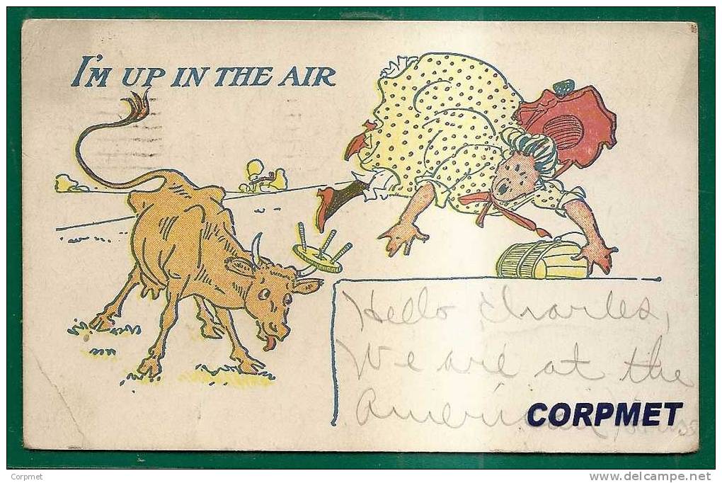 BULL - I´m Up In The Air - 1908 POSTCARD Sent From BROOKVILLE To OHIO - Tauri