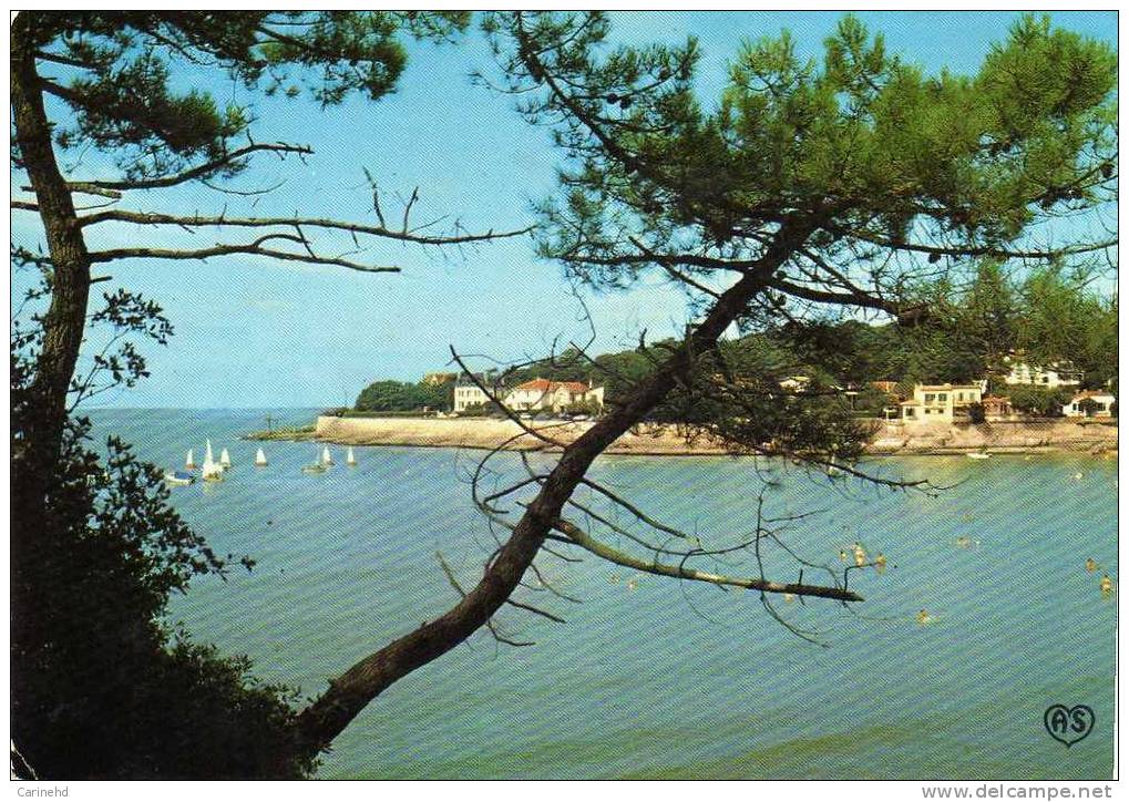 VAUX SUR MER PLAGE DE NAUZAN - Vaux-sur-Mer