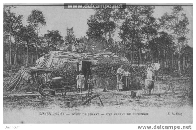 91 /// CHAMPROSAY / FORET DE SENART / Une Cabane De Bucherons, F.A. 6023 - Sénart