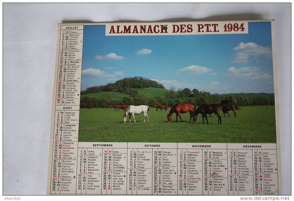1984-CALENDRIER ALMANACH DOUBLE PHOTOS  DES PTT : CHEVAUX AU PRE - JUMENT DE SELLE FRANCAISE  ET SON POULAIN - Grand Format : 1981-90