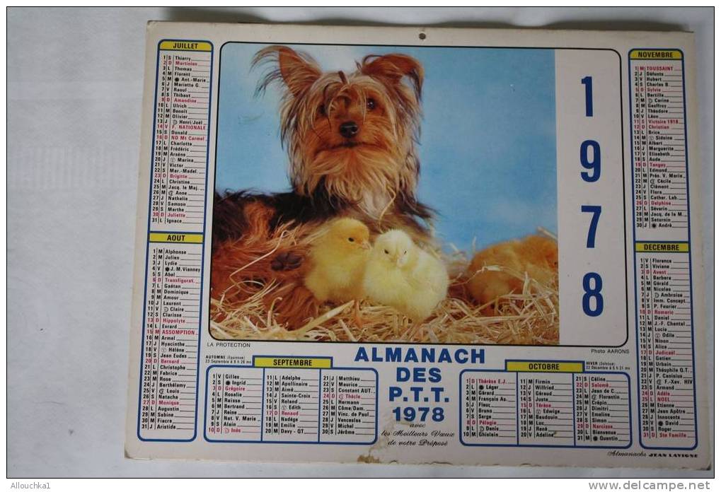 1978 -CALENDRIER ALMANACH  DES PTT CHIEN CANICHE POUSSINS- CHATONS - Grand Format : 1971-80