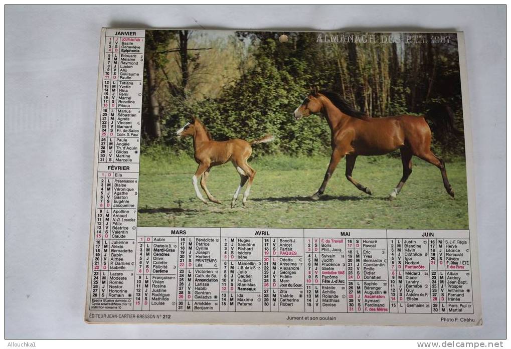 1987-CALENDRIER ALMANACH DOUBLE PHOTOS  DES PTT : JUMENT ET SON POULAIN- CHEVAUX EN CAMARGUE - Groot Formaat: 1981-90