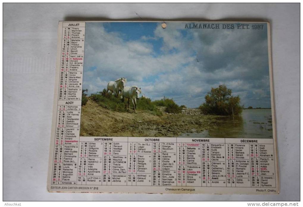 1987-CALENDRIER ALMANACH DOUBLE PHOTOS  DES PTT : JUMENT ET SON POULAIN- CHEVAUX EN CAMARGUE - Grand Format : 1981-90