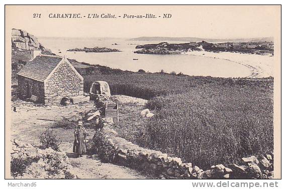 FINISTERE.CARANTEC.L ILE CALLOT PORS AN ILLIZ - Carantec