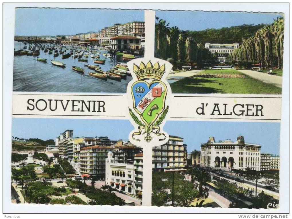 CP ALGER SOUVENIR MULTIVUES ALGERIE - Algeri