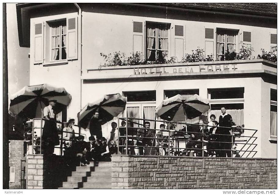 ORNE  /  JUVIGNY-sous-ANDAINE  /  HÔTEL  DE  LA  FORÊT  ( Dans Les Années 50 ) - Juvigny Sous Andaine