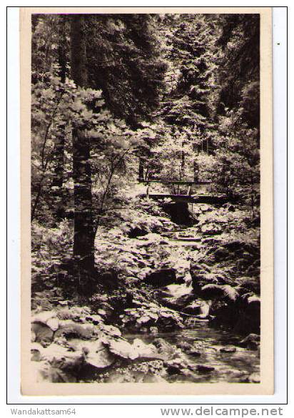 AK Suhl /Tthür. Wald Partie Im Vessertal 12.7.55.-21 SUHL 1 Nach Annaberg /Erzgebirge - Suhl