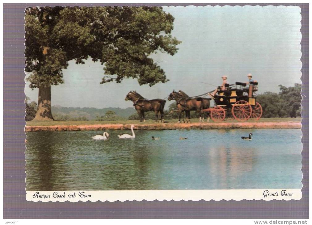 Grant's Farm - Antique Coach With Horse Teams - Saint Louis, Missouri - St Louis – Missouri