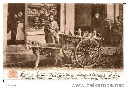 B065/ Milchwagen Mit Hund  Vor Brotgeschäft, Brüssel 1904(dog, Perro, Chien) - Artigianato