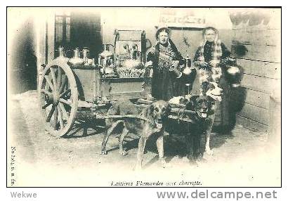 B066/ Belgien Milchwagen, Hunde, (perro, Dog, Chien)  Frauen In Flämischer Tracht 1898, (Laitérie Fla,andes) Ungebraucht - Sonstige & Ohne Zuordnung