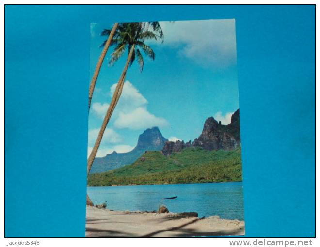 Tahiti ) N° 8 - Les Cocotiers Se Mir Dans La Baie De Cook. Moorea - Photo De Giau - EDIT  Sincere - Tahiti