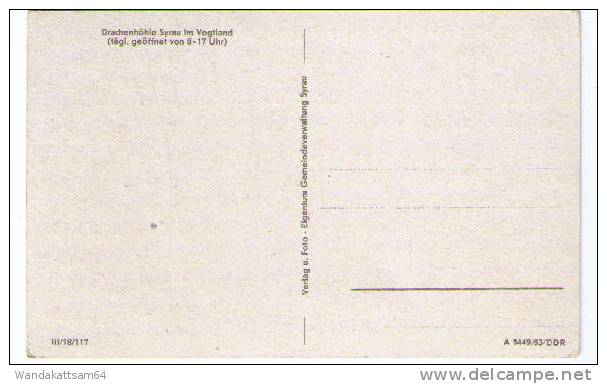 AK Drachenhöhle Syrau Elefantenohr - Syrau (Vogtland)
