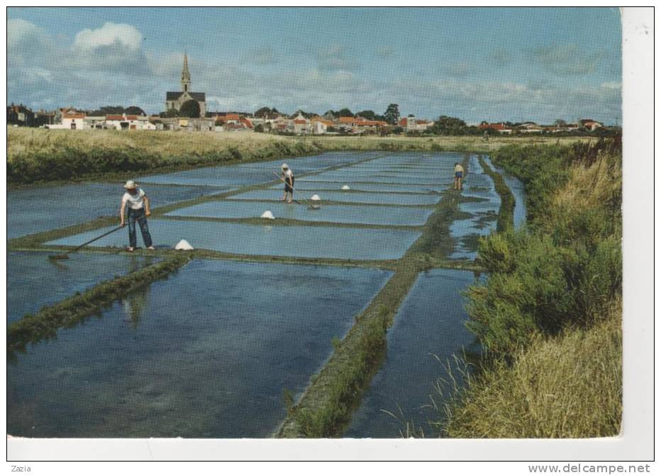 44.580/ Salins à BOURGNEUF EN RETZ ( Cpm) - Bourgneuf-en-Retz