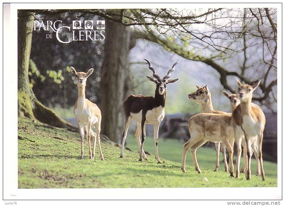 Le  Parc  De CLERES - Animaux - Clères