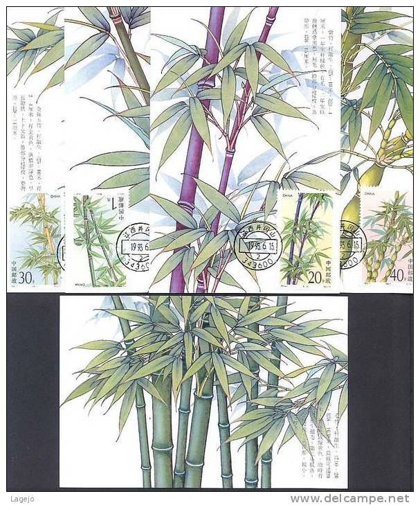 CHINE 1993/07 - MC Flore: Bambous - Maximum Cards