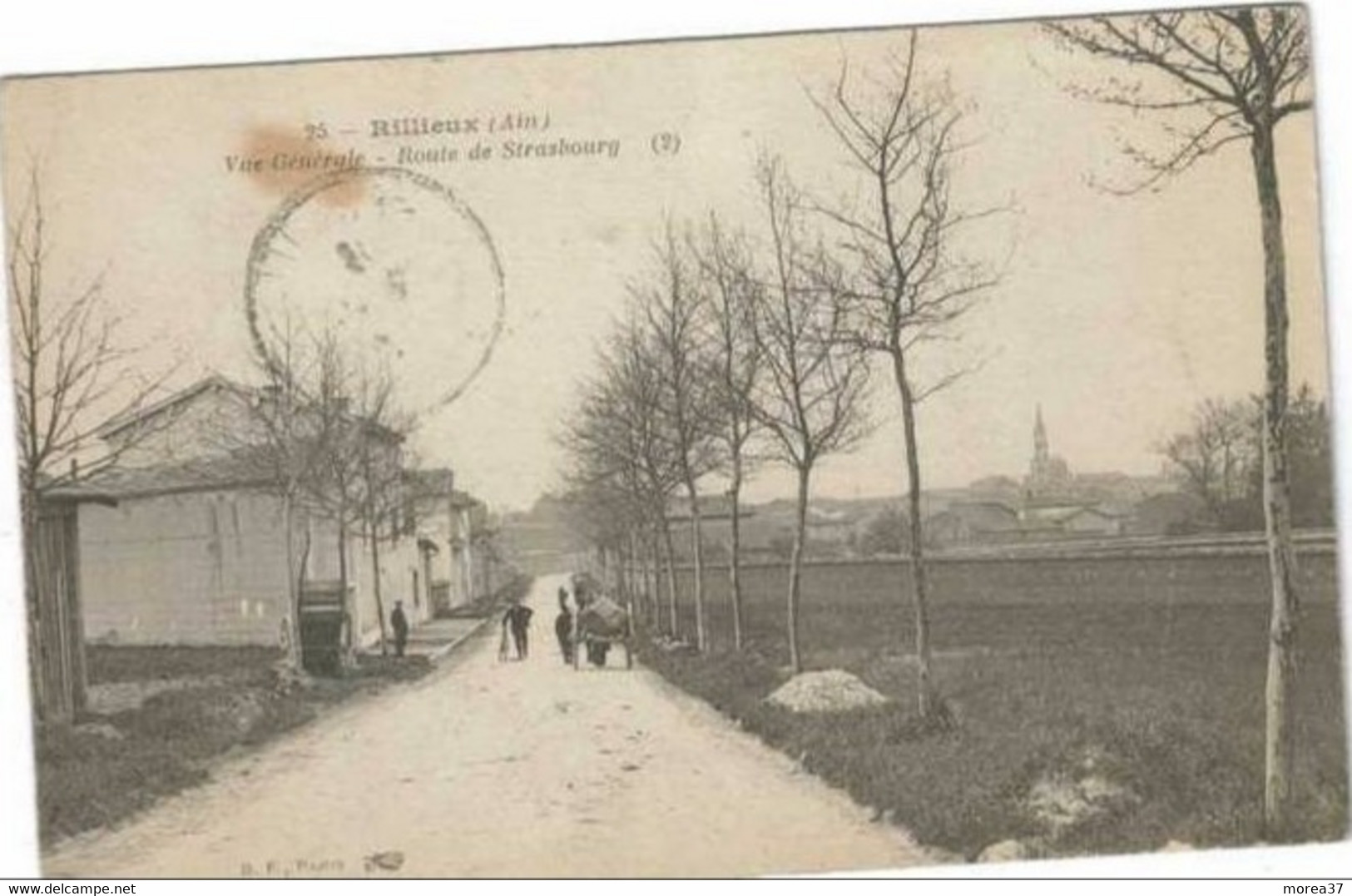 RILLIEUX Vue Générale Route De Strasbourg - Rillieux La Pape