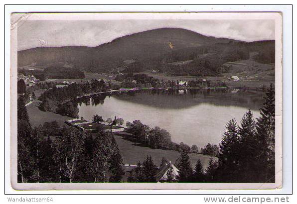 AK Titisee I. Schwarzwald 860 M ü. M. Mit Hochfirst 1190 M ü. M. 1952 FREIBURG (Brsg) - Z 1578 Nach Grembergen Belgien - Titisee-Neustadt