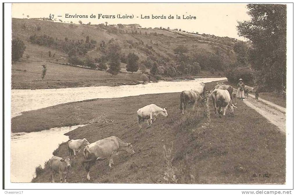 42 - Envrons De  FEURS  -   Les Bords De La Loire  -  La Gardienne Et Son Beau Troupeau De Vaches - Feurs