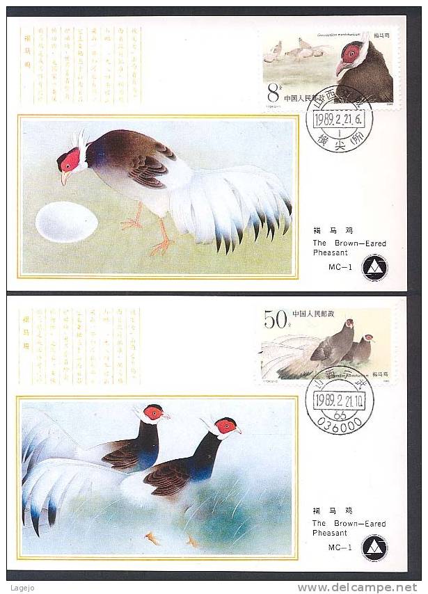 CHINE T134 - MC Faune: Faisans - Cartes-maximum