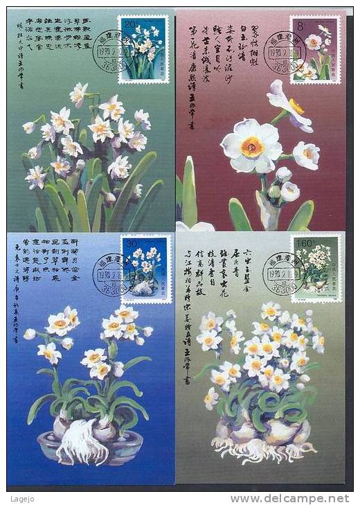 CHINE T147 - MC Flore: Narcisses - Maximumkaarten
