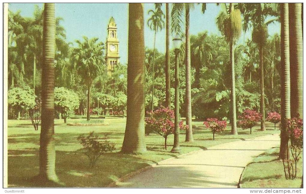 Brésil.Sao Paulo . Belle Cpsm Coul.Jardim Da Luz. - São Paulo