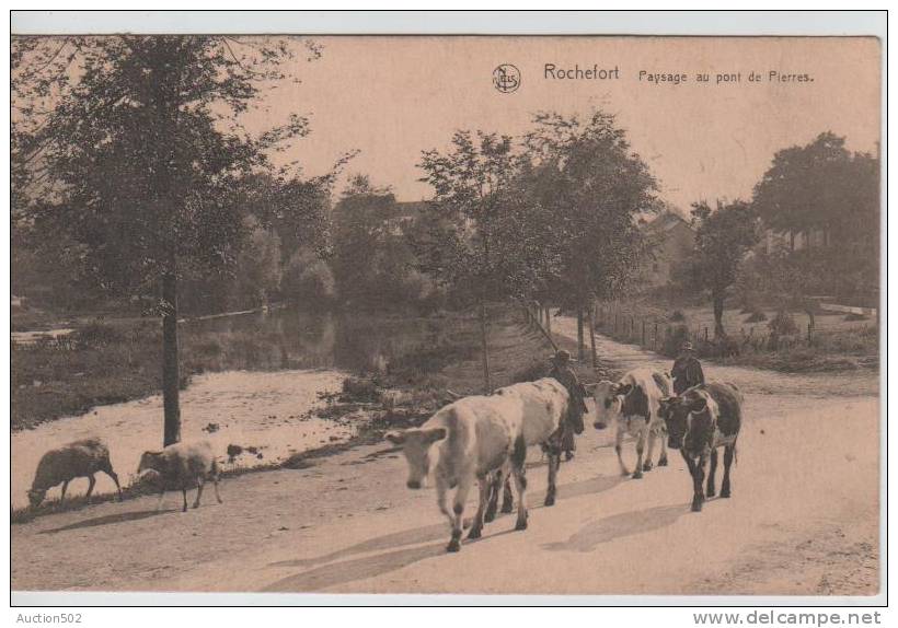 Rochefort Paysage Au Pont De Pierres 2818 - Rochefort