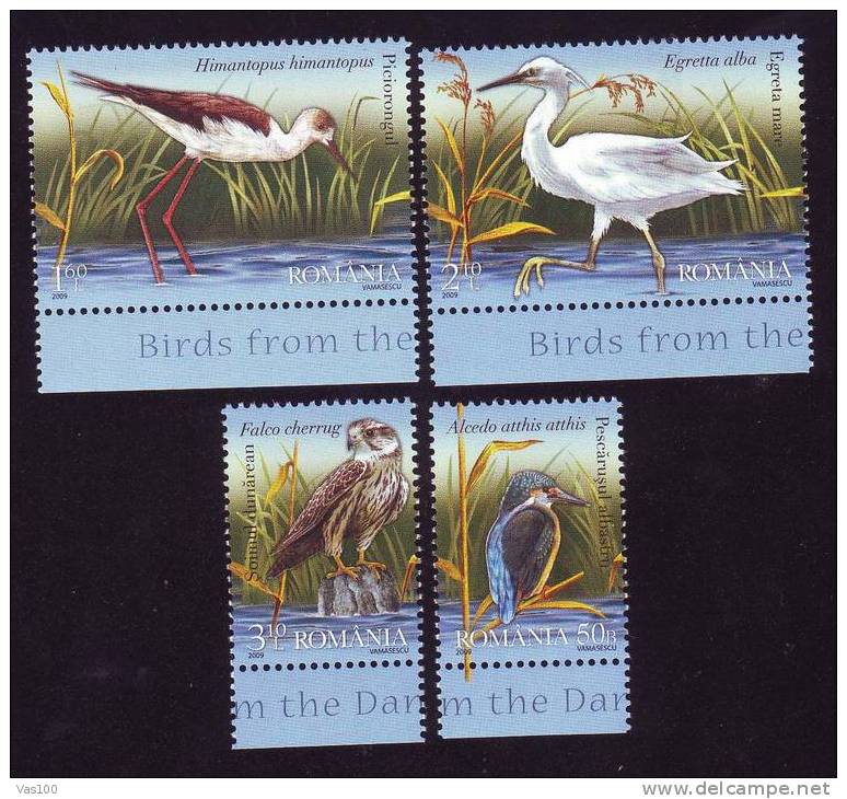 BIRDS FLAMANTS ,AIGLE,2009 MNH,4 STAMP FULL SET,ROMANIA - Ungebraucht
