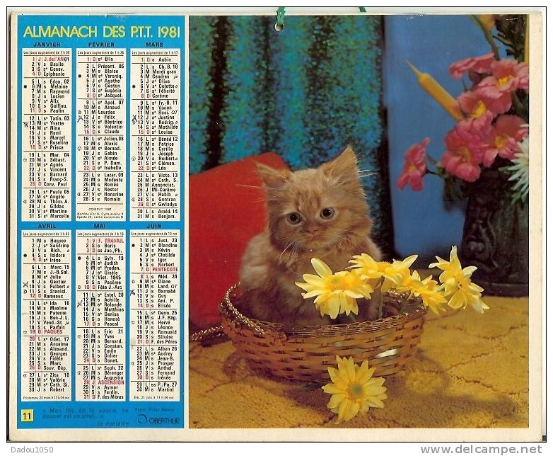 Calendriers Des PTT 1981 RHONE - Formato Grande : 1981-90