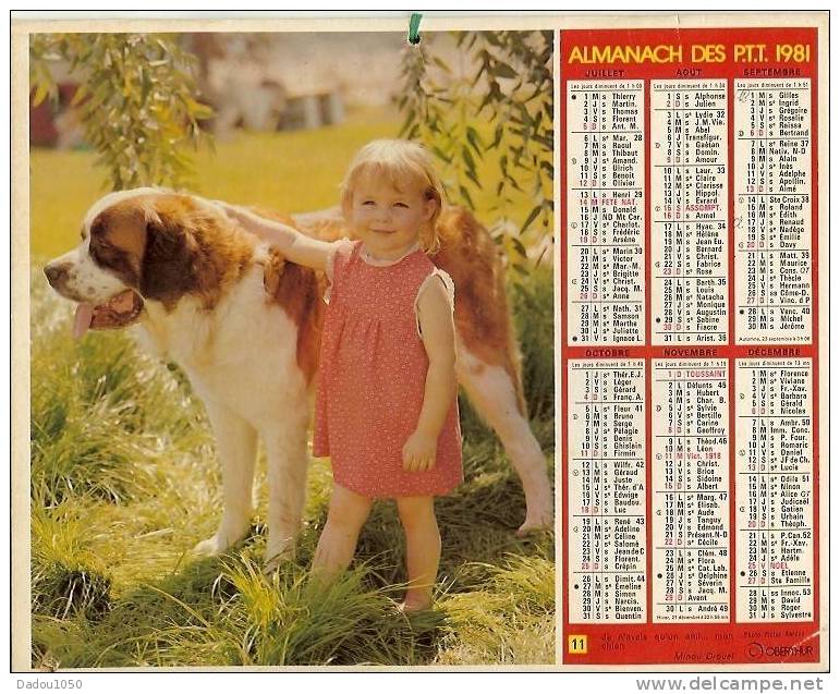 Calendriers Des PTT 1981 RHONE - Grand Format : 1981-90