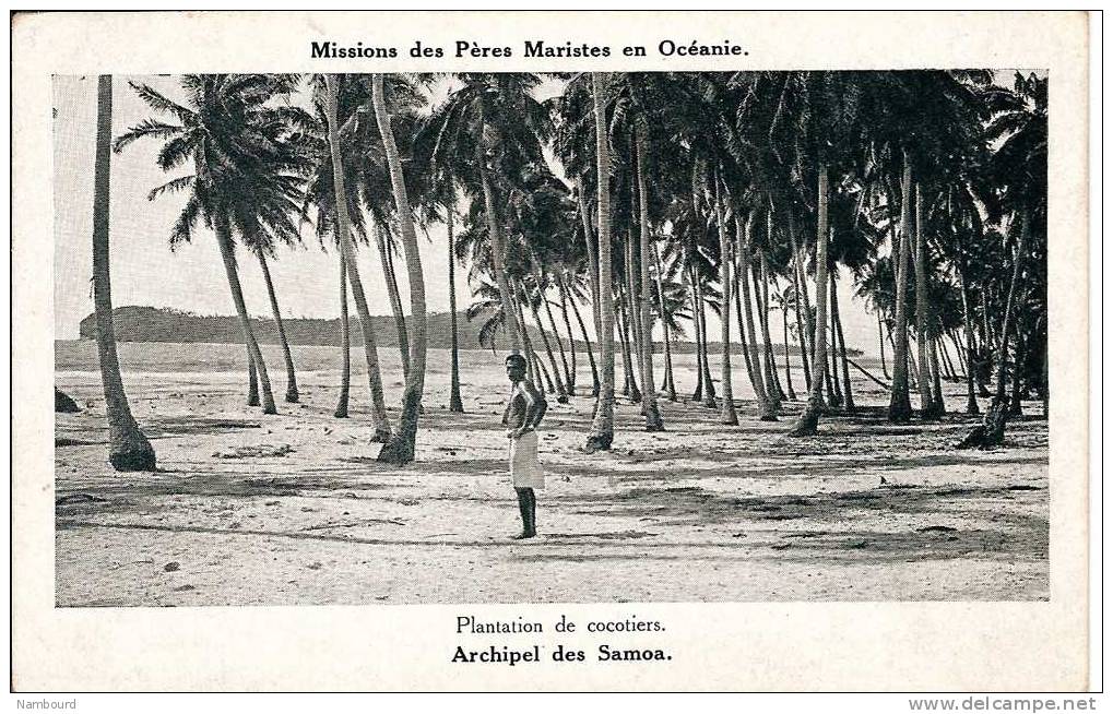 Plantation De Cocotiers - Samoa