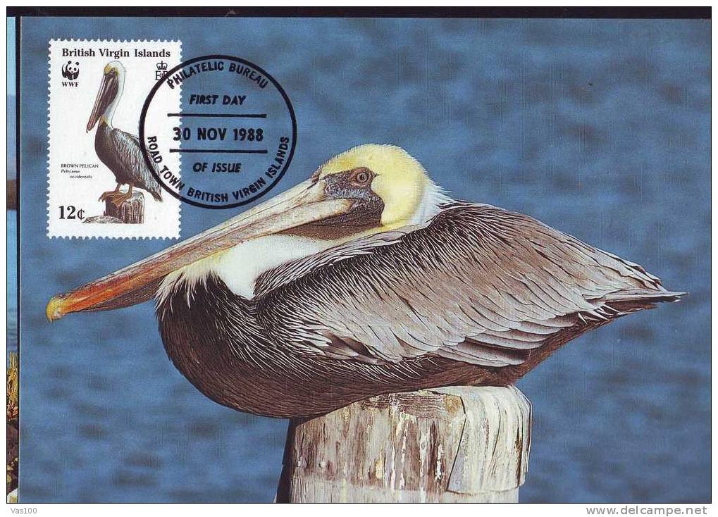 British Virginia Islands,Maxi Card,Bird - Pelican -1988 - WWF - FDC. (A) - Pelikane
