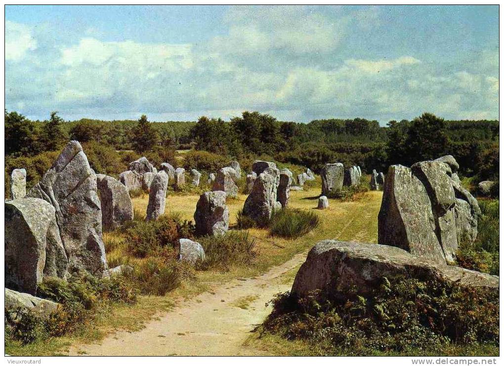 CPSM. ALIGNEMENTS MEGALITHIQUES DE KERZHERO A ERDEVEN. MENHIRS.PLUSIEURS DEPASSENT 6M. DE HAUT. - Dolmen & Menhire